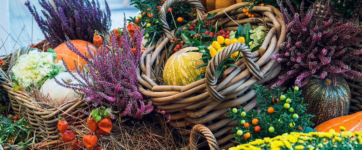 Fall harvest backets for decor